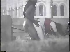 Une nana qui a de beaux gros seins se fait baiser sexe amateursfrançais à côté de son mari