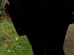 Adorable brune adore se faire baiser en pornoamateurfrancais plein air